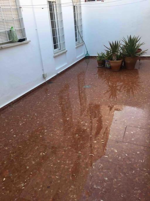 Casa Soleada En Calle Tranquila Севилья Экстерьер фото
