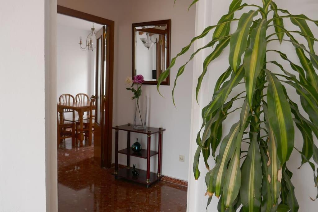 Casa Soleada En Calle Tranquila Севилья Экстерьер фото